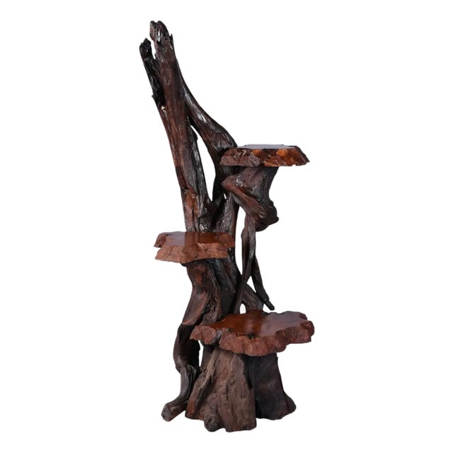 Large Rustic Live Edge Tree Trunk Plant Stand or Art Pedestal For Sale