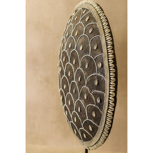 Cowrie Shell Shield, Cameroon For Sale - Image 5 of 8
