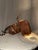 Vintage Industrial Theater Spotlight With Adjustable Barn Doors For Sale - Image 4 of 6