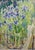 Iris, van gogh,impressionists, nature,purple, green,garden georgij moroz (dneprodzerzinsk, ucraina, 1937 - st. Petersburg,...