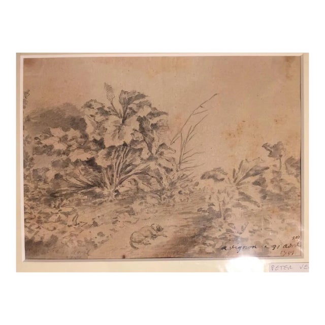 Dog with Plants - Original China Ink Drawing by Jan Pieter Verdussen - 1751 1751 For Sale