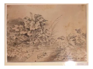Dog with Plants - Original China Ink Drawing by Jan Pieter Verdussen - 1751 1751