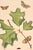 A beautiful example of eighteenth-century natural history illustration, this vintage art print reproduction features an...