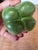 Kelly Green 1993 Mary Kirk Kelly Signed Ceramic Green Bell Pepper Sculpture For Sale - Image 8 of 8