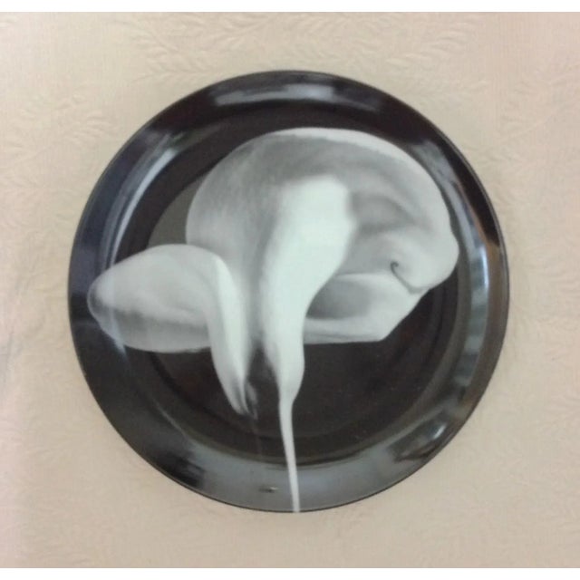 A super fine exemplar of Robert Mapplethorpe's "Calla Lily" Charger 12" by Swid Powell (1984). This beautiful and...