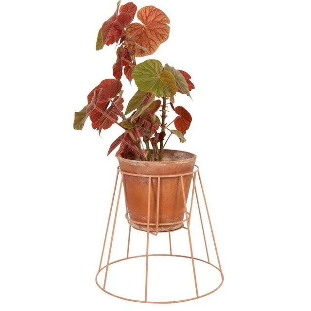 Set of 3 Small Dusty Peach Cibele Plant Stand by OK Design Dimensions: D 35 x H 30 cm. Materials: Powder-coated metal.