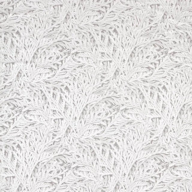 Zoffany Nootka Fabric in Empire Grey For Sale