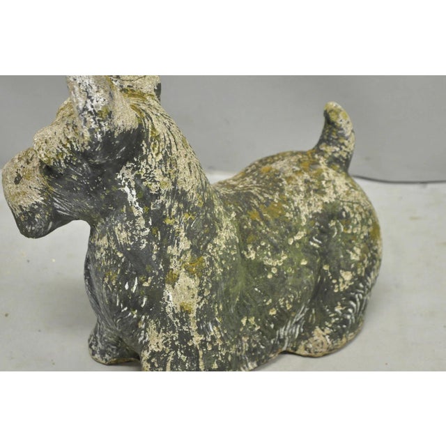 Vintage Scottish Terrier Scotty Dog 12" Small Cast Stone Concrete Garden Figure For Sale - Image 10 of 14