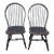 20Thc Children's Windsor Chairs, Pair For Sale