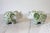 Figurative Vintage Green and White Ceramic Elephant Banks - Andrea by Sadek For Sale - Image 3 of 9