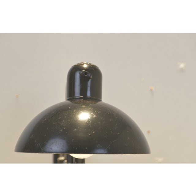 6614 Wall Lamp by Christian Dell for Kaiser + Co, 1950s For Sale - Image 11 of 16