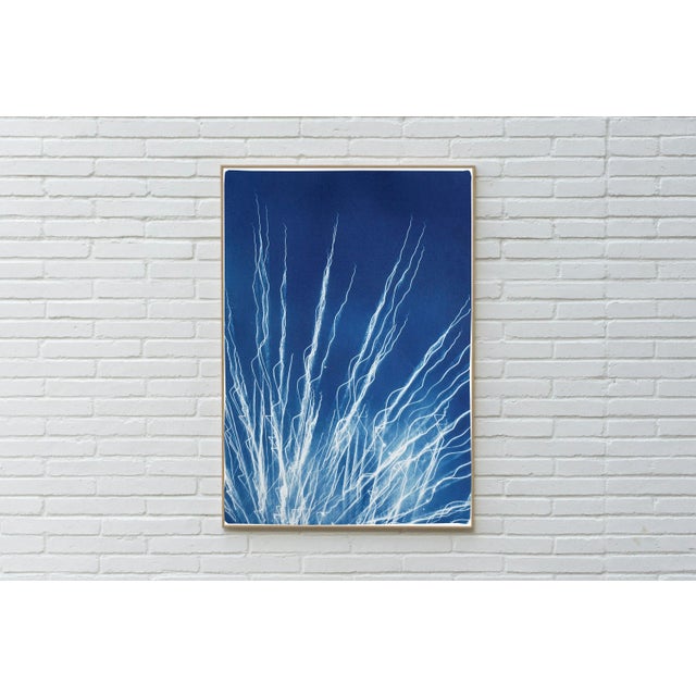 This is an exclusive handprinted limited edition cyanotype. "Glowing Fireworks Lights" is a beautiful cyanotype of the New...