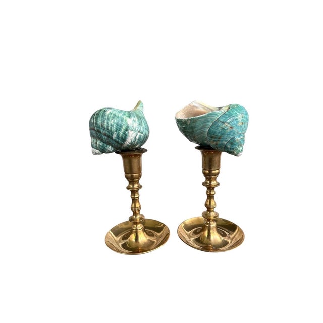 Hollywood Regency Pair of Vintage Solid Brass Candlesticks With Turbo Shell Topper Sculptures For Sale - Image 3 of 5