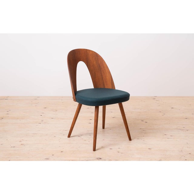 Mid-Century Modern Dining Chairs by A. Šuman, 1960s, Set of 14 For Sale - Image 10 of 18