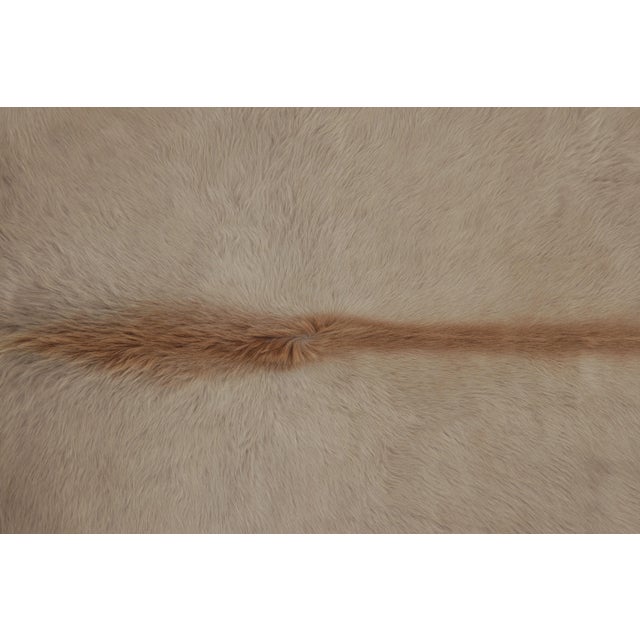Rug & Kilim’s Large Cowhide Rug in Warm Beige and Cream Tones For Sale In New York - Image 6 of 8