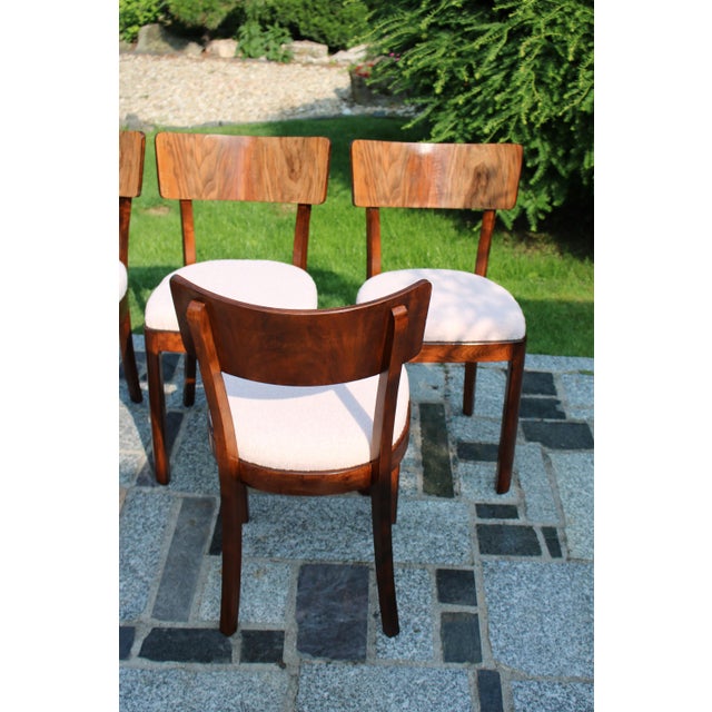 Wood Vintage Chairs, 1956, Set of 6 For Sale - Image 7 of 9