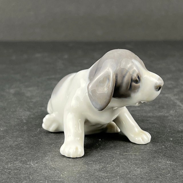 Royal Copenhagan Vintage MCM Royal Copenhagen Pointer Puppy Dog Figurine For Sale - Image 4 of 6