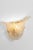 Large Murano Glass Wall Sconces in the style of Venini, Italy, 1970s, Set of 2 For Sale - Image 6 of 8