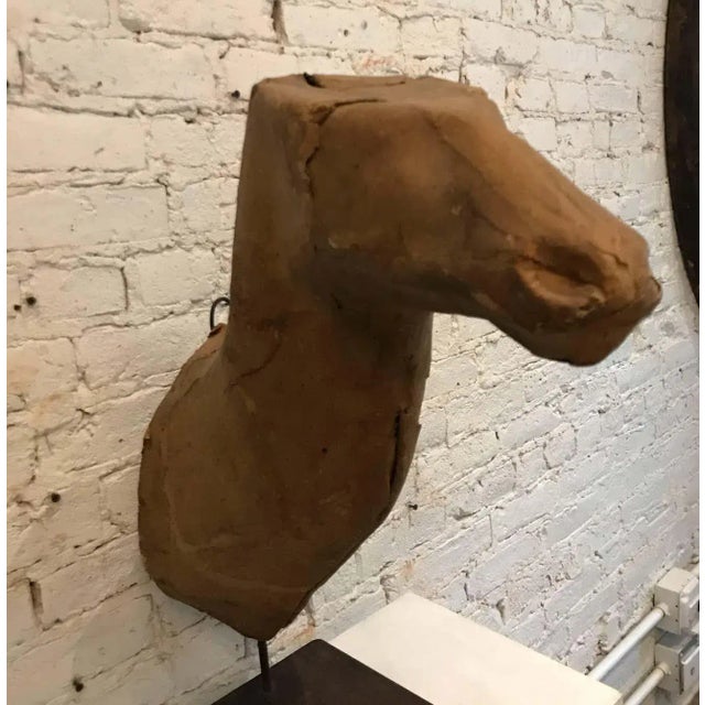 Early 20th Century Taxidermy Mold Elk Head For Sale In Chicago - Image 6 of 10