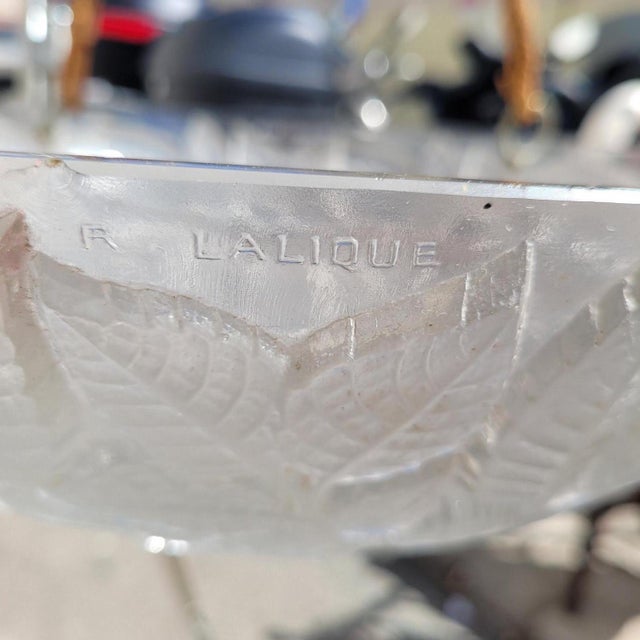 Glass Art Nouveau Charmes Glass Pendant Light by René Lalique for Lalique For Sale - Image 7 of 17