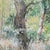Forest Edge by Judith Peck | Oil Painting of a wooded area with trees and greenery For Sale