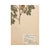 Vintage Swedish Herbarium - Cinnamon Rose, Circa 1933 For Sale In Seattle - Image 6 of 6
