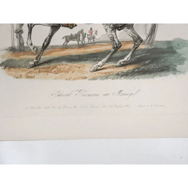 Vintage early 20th century aquatint engraving reprint on heavy paper an equestrian on dapple gray stallion with large...