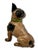 Vintage 1930s Hubley Manufacturing Co. Cast Iron French Bulldog Doorstop Unusual Green Collar For Sale - Image 15 of 18