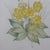 Title: Vintage Margot Weemaes Primula Kewensis Botanical Print 1981 Framed For Sale In Tampa - Image 6 of 11