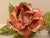 Vintage Tole Rose For Sale In Charleston - Image 6 of 8