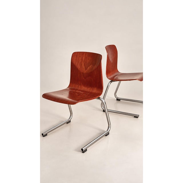 1960s Vintage Chairs from Thur Op / Pagholz, 1960s, Set of 6 For Sale - Image 5 of 10