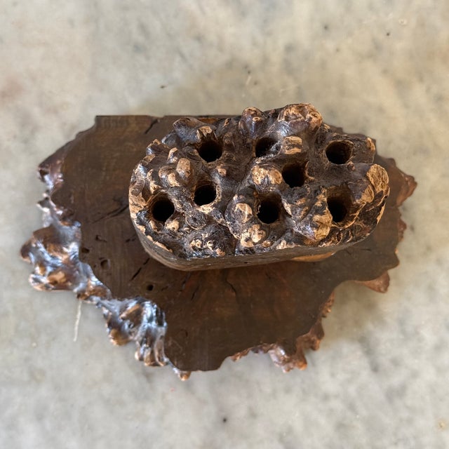 Mid 20th Century Mid-Century Burled Wood Bud Vase With Raw Edge Detail for 8 Stems For Sale - Image 5 of 5