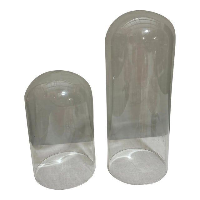 Pair of Vintage Thin Glass Domes For Sale