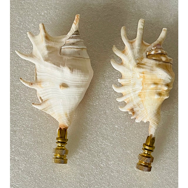 Vintage pair of sea shell lamp finials, 4,5” each on brass bases.