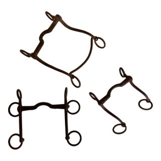 1900s Antique Horse Curb Bits, Set of 3 For Sale