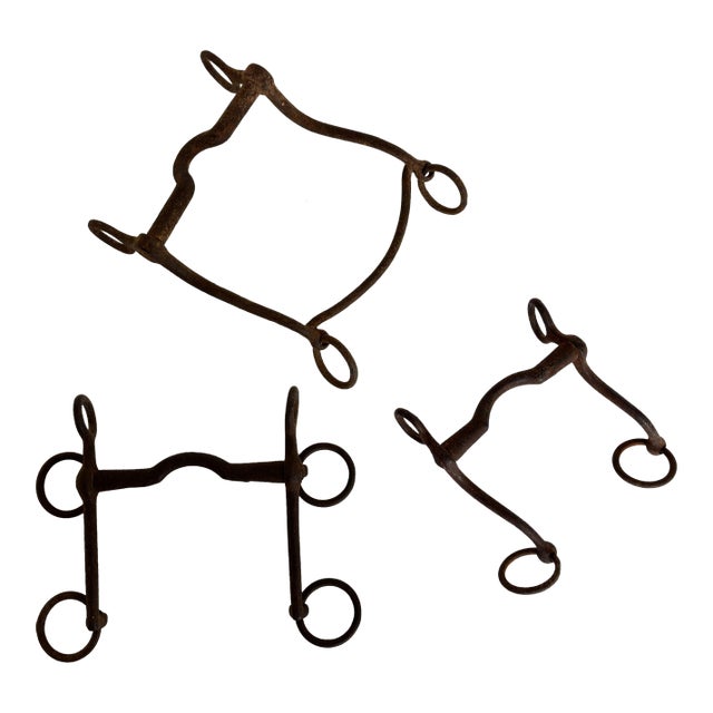1900s Antique Horse Curb Bits, Set of 3 For Sale