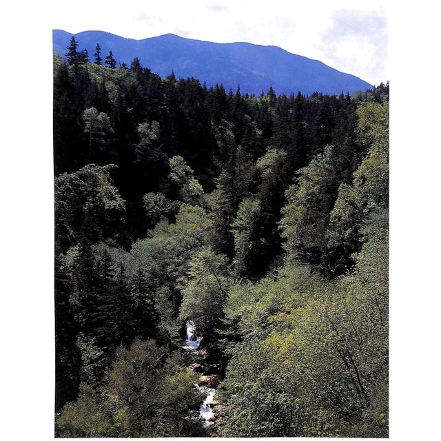 White "Forever Wild: The Adirondacks" 1966 Porter, Eliot For Sale - Image 8 of 12