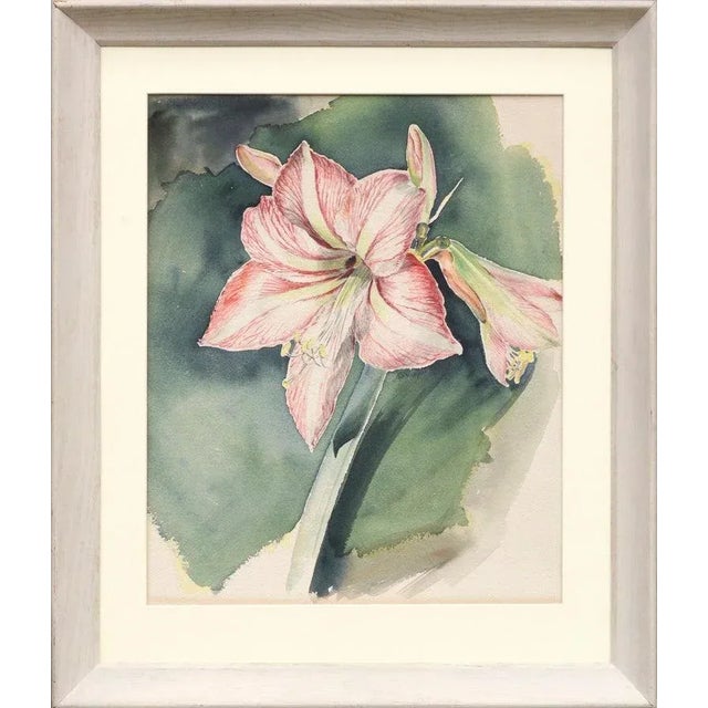 Joseph Yeager Amaryllis Blossom Watercolor Circa 1940-1950 For Sale In Monterey, CA - Image 6 of 6