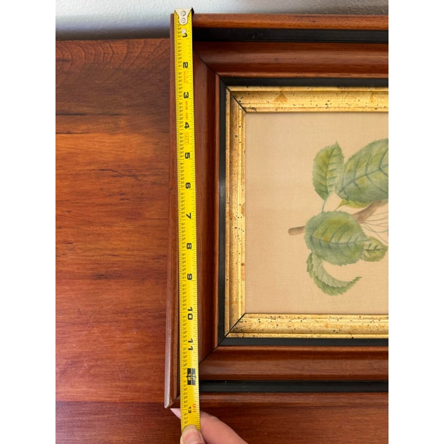 19th-Century American Folk Art Fruit Still Life Theorem Paintings on Velvet - A Matched Pair, Signed Jr For Sale - Image 12 of 12