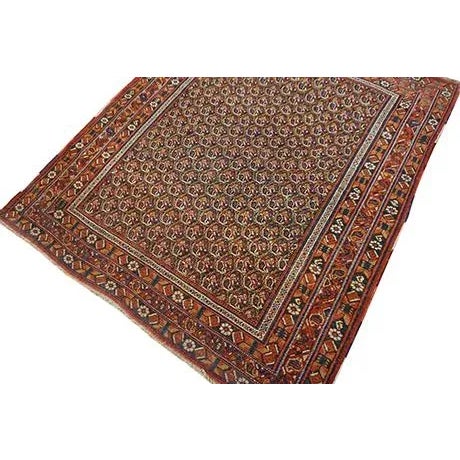 Antique Persian Afshar Rug For Sale - Image 9 of 9