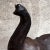 Abercrombie and Fitch Mid-Century Modern Leather Elephant Table Sculpture, 1960s Style For Sale - Image 4 of 12