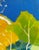 Mid-Century Modern 1970s Tadashi Asoma - White Hill in Autumn Oil Painting, Framed For Sale - Image 3 of 9