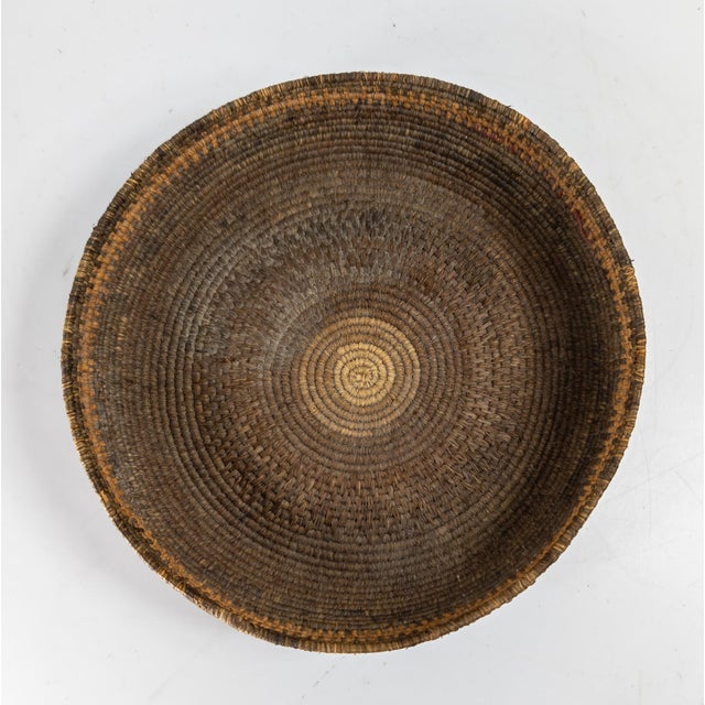 Brown Early 20th Century Southwest Native American Indian Coiled Basket, Pima or Papago For Sale - Image 8 of 13