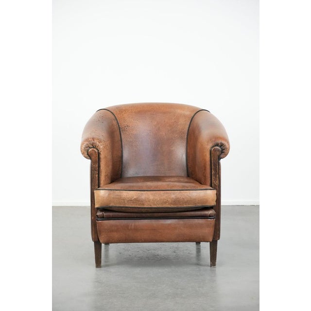 This gorgeous sheepskin club armchair fits easily into almost any interior and has a beautiful vintage look. It's perfect...