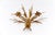Large Wheat Sheaf Wall Light by Hans Kögl, Germany, 1970s For Sale - Image 4 of 11
