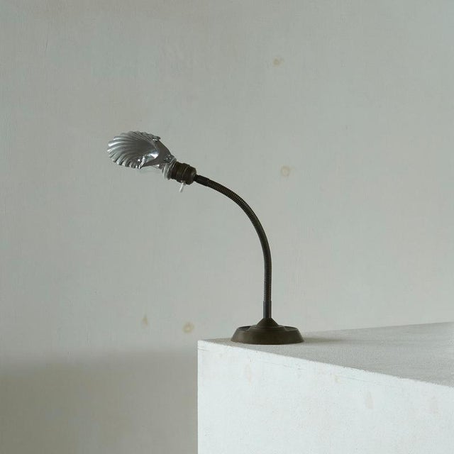 Metal Art Deco Adjustable Shell Shade Table Lamp, Belgium, 1930s For Sale - Image 7 of 11