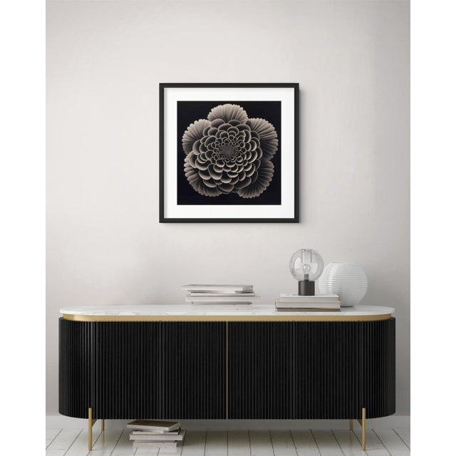 Contemporary Heliotropium Flower — Vintage Botanical Photography Print For Sale - Image 3 of 3