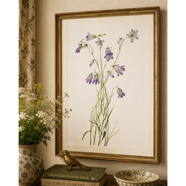 Harebell, Vintage Botanical Art Print Reproduction by Mary Vaux Walcott, 16" X 24" For Sale - Image 4 of 10