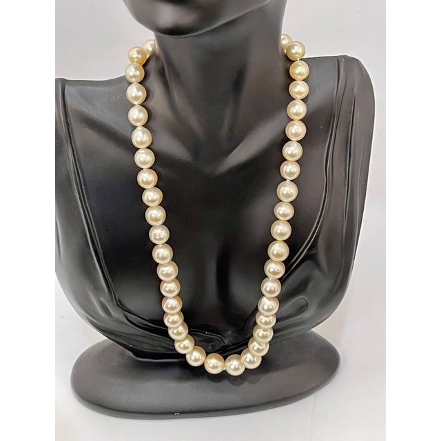Graduating Cream Color South Sea Pearls Necklace 14 Karat Yellow Gold Clasp For Sale - Image 9 of 18