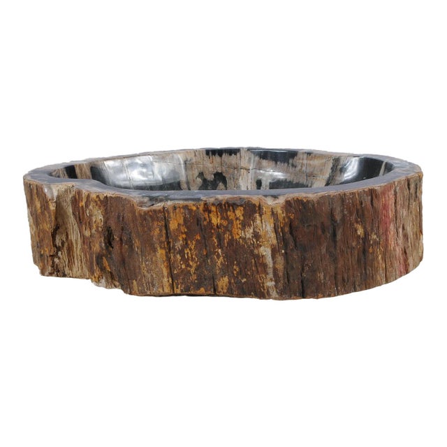 Early 21st Century Petrified Wood Hand Wash Basin by Xyleia Petrified Wood For Sale - Image 5 of 8